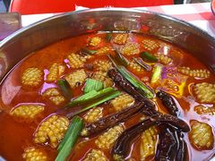 -马叉虫和妖且闲·长沙大排档(解放西店)