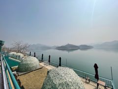 -望湖烤鱼