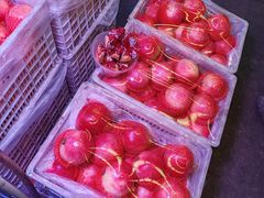 -双福水果批发市场