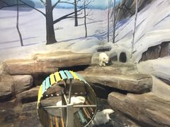 -梦幻海洋王国(吾悦广场张家港店)