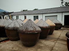 -苏州市吴中区光福窑上花果蜜饯厂