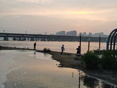 -长白岛森林公园