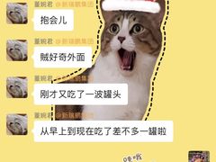 -美联众合动物医院·24h转诊中心