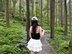 -洛阳白云山景区