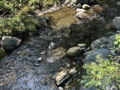 -石台牯牛降景区