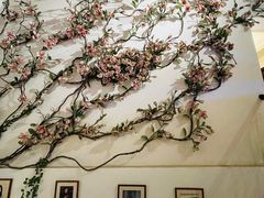 -邓丽君音乐主题餐厅