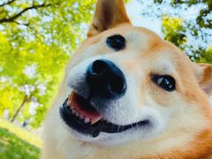 -上海月湖雕塑公园