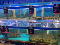 水产区-船梆煮•蒸汽海鲜·炉火烤肉(五四广场店)