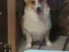 -喵汪宠物生活馆(涞坊路店)