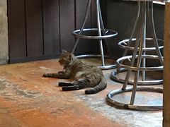 -Dash Teak House