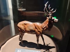 -中国湿地博物馆