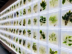 -广东中医药博物馆