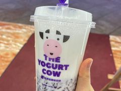 -一只酸奶牛(时代天街A馆店)