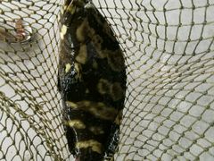 -邹记·美食(斗门店)