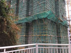 -金鸡山公园