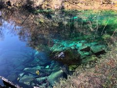 -叠溪松坪沟景区