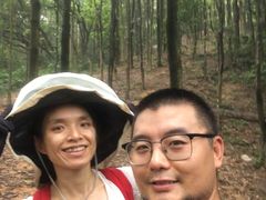 -火炉山森林公园