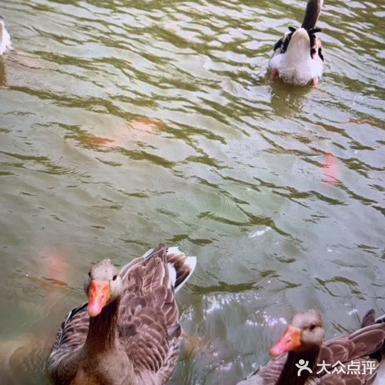 春季溜娃季