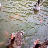春季溜娃季