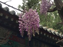 -北京市劳动人民文化宫(太庙)