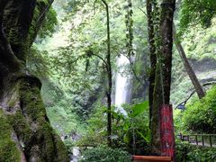 -莫里热带雨林景区