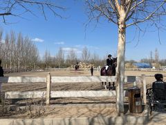 -北京群众马术培训基地