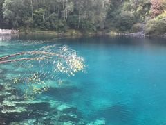 -叠溪松坪沟景区