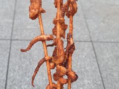 -林姐炸烤(久长路步行街店)