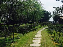 -大湾区中央湿地公园