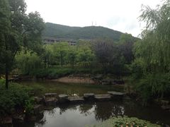 iphone_upload_pic-宁波九龙湖开元度假村