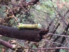 -罗田天堂寨风景区