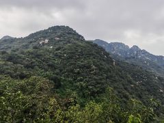 -大岭沟猕猴桃谷风景区