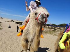 -库伦旗银沙湾旅游景区