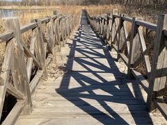 -野鸭湖国家湿地公园