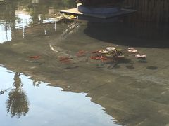 -西双版纳融创皇冠假日度假酒店