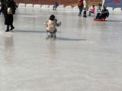 -绿野森林乐园冰雪季