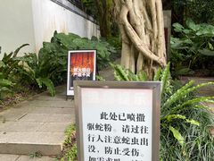 -深圳国际园林花卉博览园