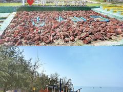 -厦门湾·白塘湾火山公园