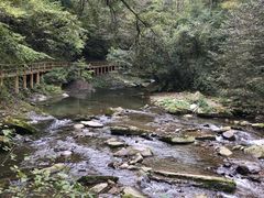 -黎坪国家森林公园