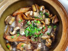 -红星光发煲仔饭(文海店)
