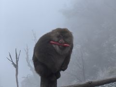 -峨眉山风景名胜区