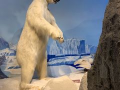 -陕西自然博物馆