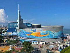 -海合安青岛极地海洋公园