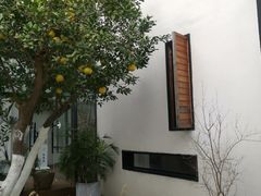 -Willing·Coffee&Brunch&Dinner(万达店)