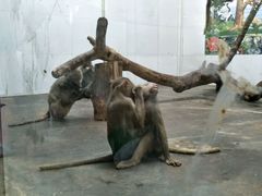 -西安秦岭野生动物园