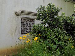-尚贤河湿地