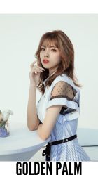 -金棕榈