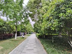 -杭州城北体育公园