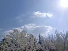 -长春世界雕塑园