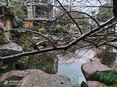 -杭州植物园